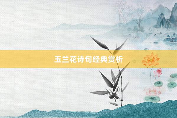 玉兰花诗句经典赏析
