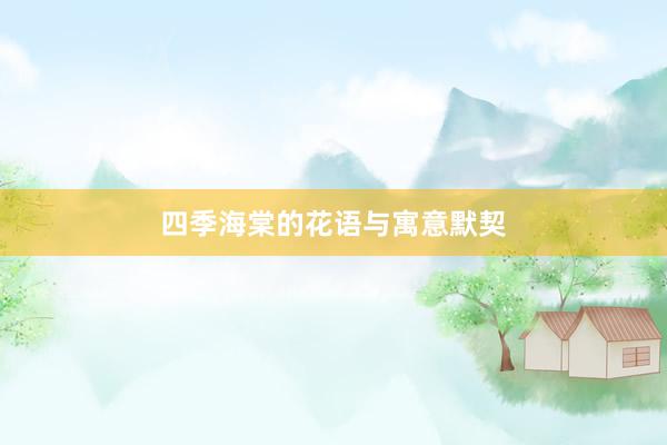 四季海棠的花语与寓意默契