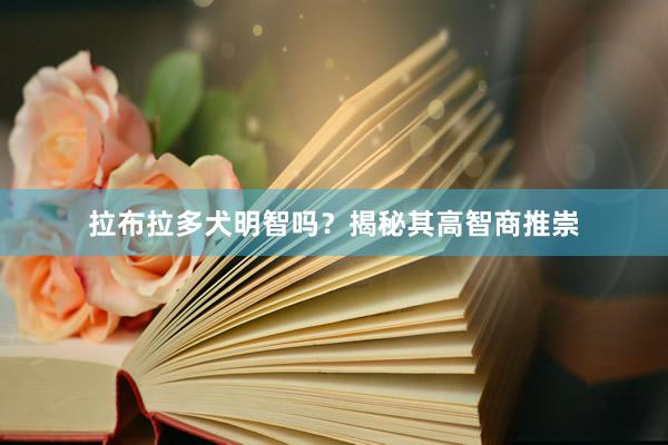 拉布拉多犬明智吗?揭秘其高智商推崇