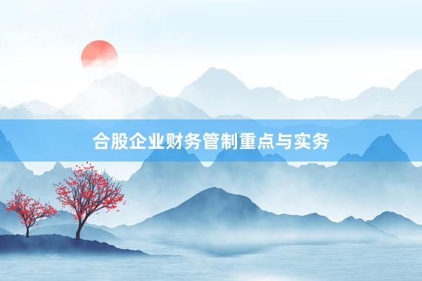 合股企业财务管制重点与实务